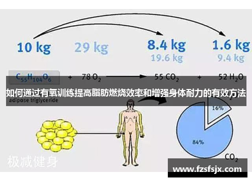 如何通过有氧训练提高脂肪燃烧效率和增强身体耐力的有效方法