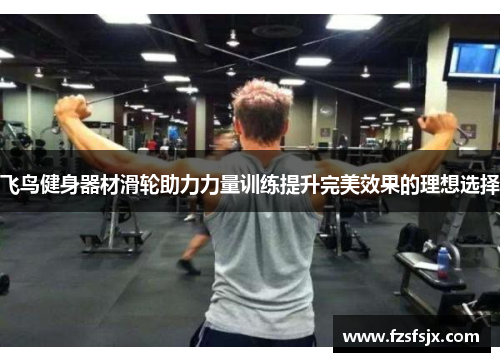 飞鸟健身器材滑轮助力力量训练提升完美效果的理想选择
