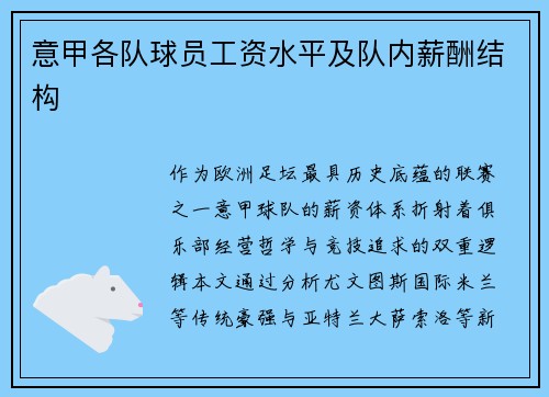 意甲各队球员工资水平及队内薪酬结构